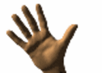 2636/p419226974_2301.gif